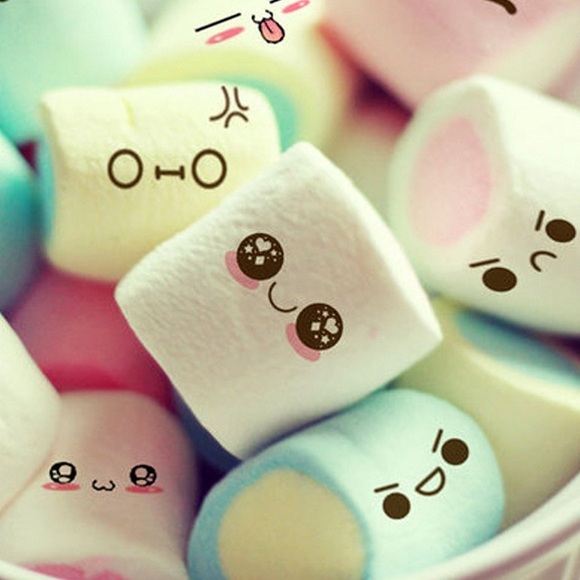 Meet your Posher, Nini - Picture 4 of 4